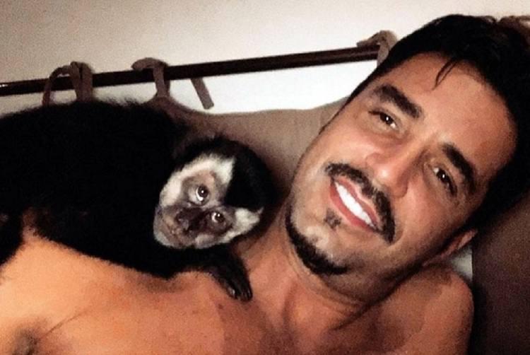 Luto no apê: Morre Twelves, macaco de estimação de Latino